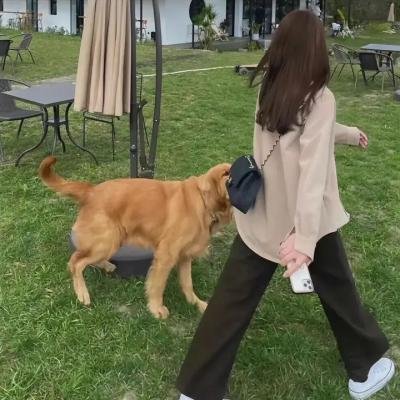 吴妻盘儿花